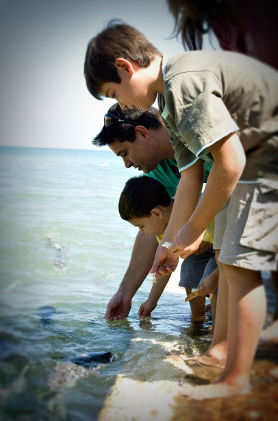 Aquascene Fish Feeding Sanctuary - Accommodation QLD 3