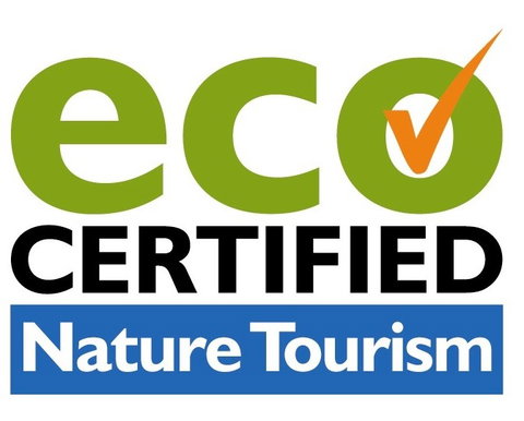 Aquascene Fish Feeding Sanctuary - Accommodation QLD 4