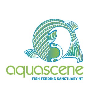 Aquascene Fish Feeding Sanctuary - Accommodation QLD 5