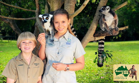 Australia Zoo - Accommodation QLD 2