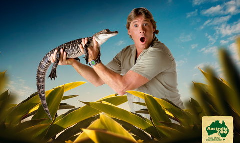 Australia Zoo - Accommodation QLD 3