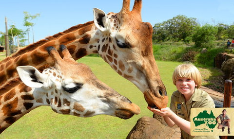 Australia Zoo - Accommodation QLD 4