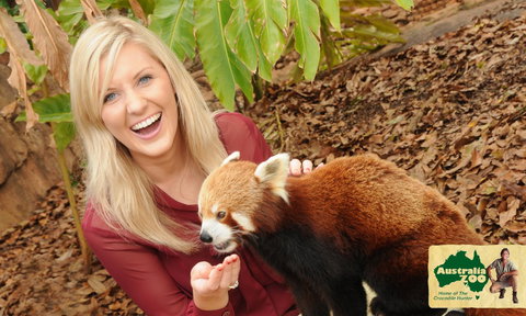 Australia Zoo - Accommodation QLD 7