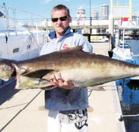 True Blue Fishing Charters - Accommodation QLD