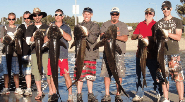 BKs Gold Coast Fishing Charters - Accommodation QLD 1