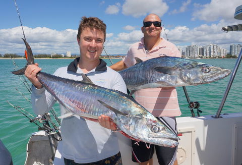 BKs Gold Coast Fishing Charters - Accommodation QLD 6