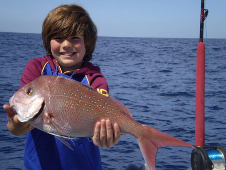 Mills Charters Fishing And Whale Watch Cruises - Accommodation QLD 4