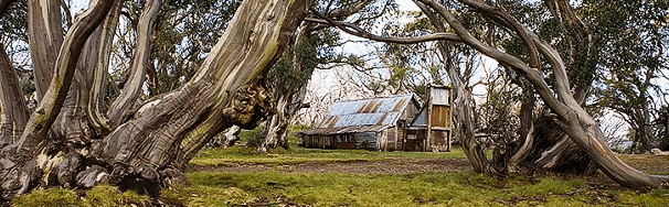 High Country Scenic Tours - Accommodation QLD