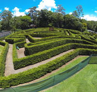 Bellingham Maze - Accommodation QLD