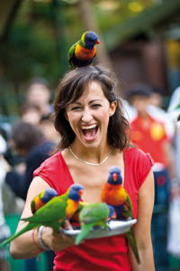 Currumbin Wildlife Sanctuary - Accommodation QLD 10