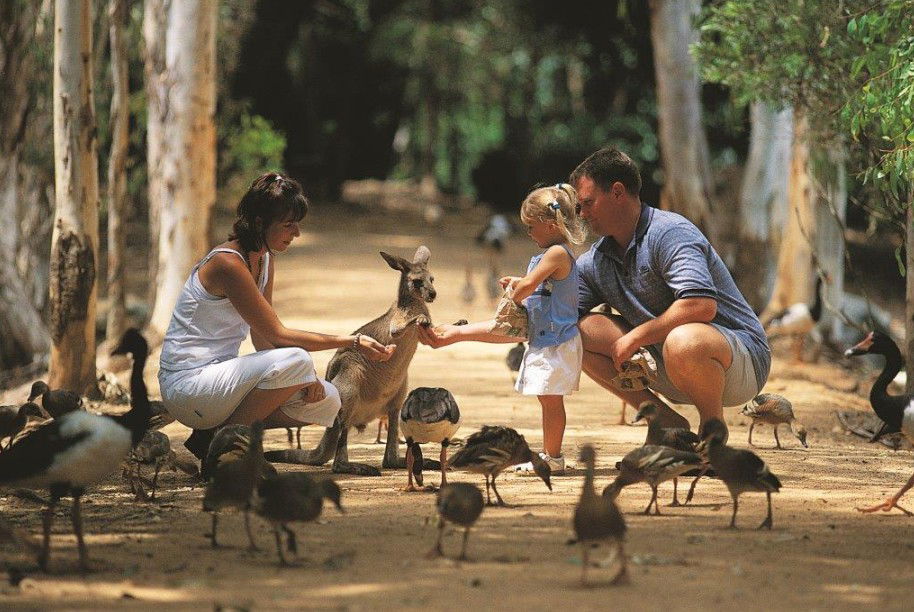  Accommodation QLD