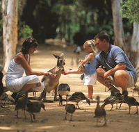 Billabong Sanctuary - Accommodation QLD