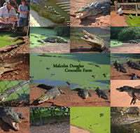 The Malcolm Douglas Crocodile Park - Accommodation QLD