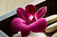 Blush Beauty Saloons - Accommodation QLD 4