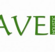 Agave Holistic Day Spa  Beauty - Accommodation QLD