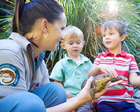 David Fleay Wildlife Park - Accommodation QLD 3