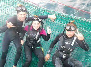 Dolphin Swim Australia - Accommodation QLD 7