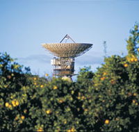 Big Dish - Accommodation QLD
