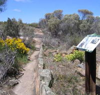 Christmas Rock Walk - Accommodation QLD