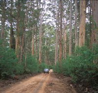 Boranup Drive - Accommodation QLD