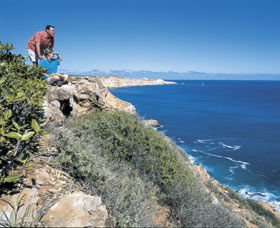 Cape Cuvier Coast - Accommodation QLD 0