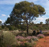 Karlkurla Bushland Park - Accommodation QLD