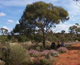 Karlkurla Bushland Park - Accommodation QLD 0