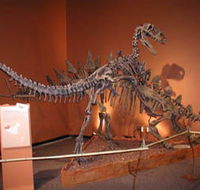 Denmark Dinosaur World - Accommodation QLD