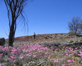 Nungarin WA Accommodation QLD