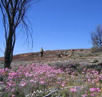 Talgomine Reserve - Accommodation QLD