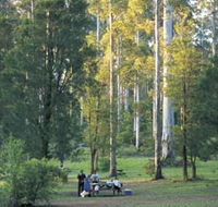 Big Brook Arboretum - Accommodation QLD
