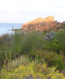 Meelup Trail - Accommodation QLD 0