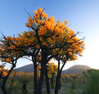 Cape Le Grand National Park - Accommodation QLD