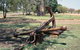SS Colac - thumb 0