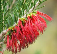 Ethel Daw Scenic Drive - Accommodation QLD