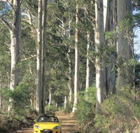 Mount Shadforth Scenic Drive - Accommodation QLD