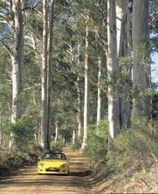 Mount Shadforth Scenic Drive - Accommodation QLD 0