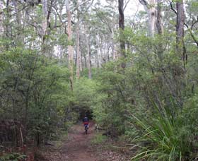  Accommodation QLD