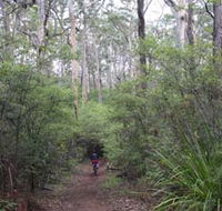 Margaret River Rails Trail - Accommodation QLD