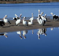 Peel Region Canoe Trails - Accommodation QLD