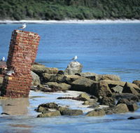 Whalers Beach - Accommodation QLD