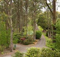 Mount Lofty Botanic Garden - Accommodation QLD