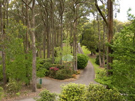 Mount Lofty Botanic Garden - Accommodation QLD 0