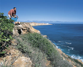 Dampier Salt Mines - Accommodation QLD 0