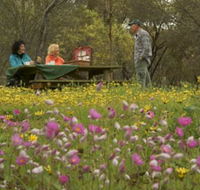 Gwambygine Park - Accommodation QLD