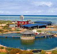 Ocean Park Aquarium - Accommodation QLD