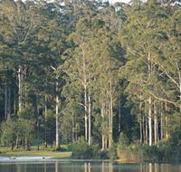 Big Brook Dam - Accommodation QLD
