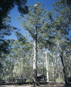 Smith Brook WA Accommodation QLD
