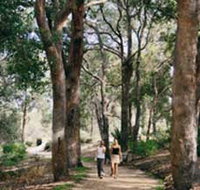 Law Trail and Lotterywest Federation Walkway Kings Park - Accommodation QLD