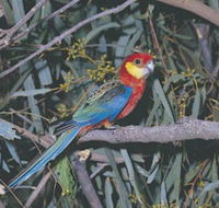 King River - Accommodation QLD